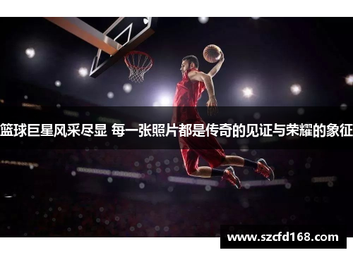 篮球巨星风采尽显 每一张照片都是传奇的见证与荣耀的象征